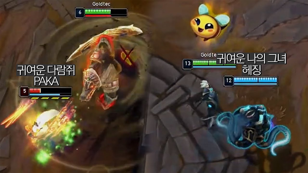 귀여움으로 가득 찬 협곡