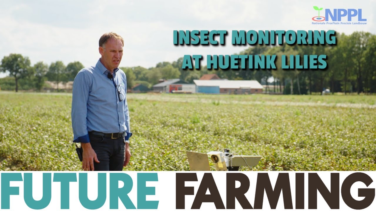 NEW method for APHID DETECTION and MONITORING