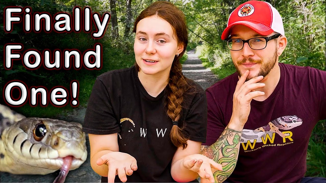 I can't Believe I FINALLY Found This Snake! Herping Adventure With @All Canadian Reptile Girl
