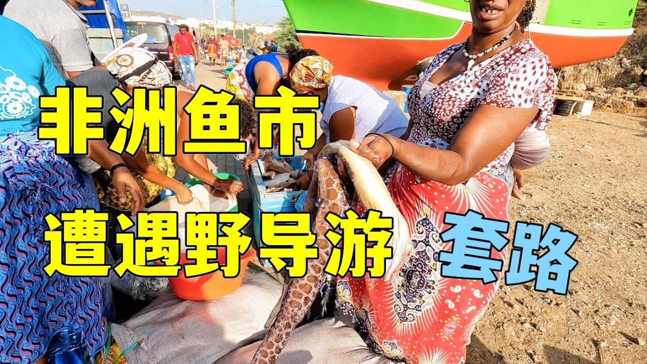 帅小伙在非洲旅行遭遇野导游，一路尾随骗我钱，最后为啥要支持他？
