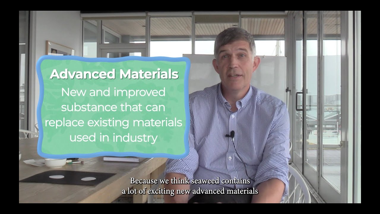 'Kelp' Us Learn: Building a Seaweed World