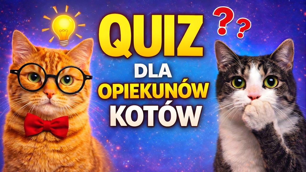 QUIZ dla opiekunów KOTÓW! Ile naprawdę wiesz o KOTACH?