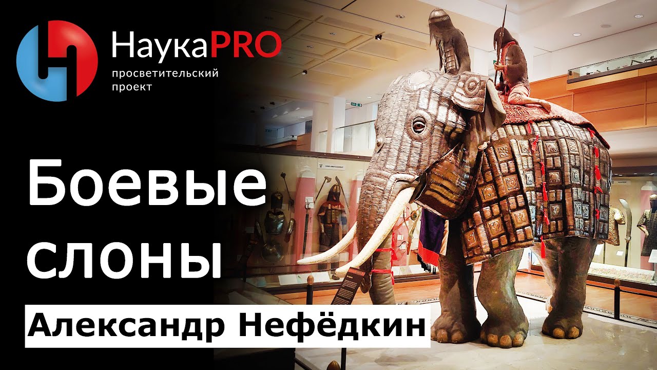 Боевые слоны: элефантерия &ndash; историк Александр Нефёдкин | Лекции по истории | Научпоп | НаукаPRO
