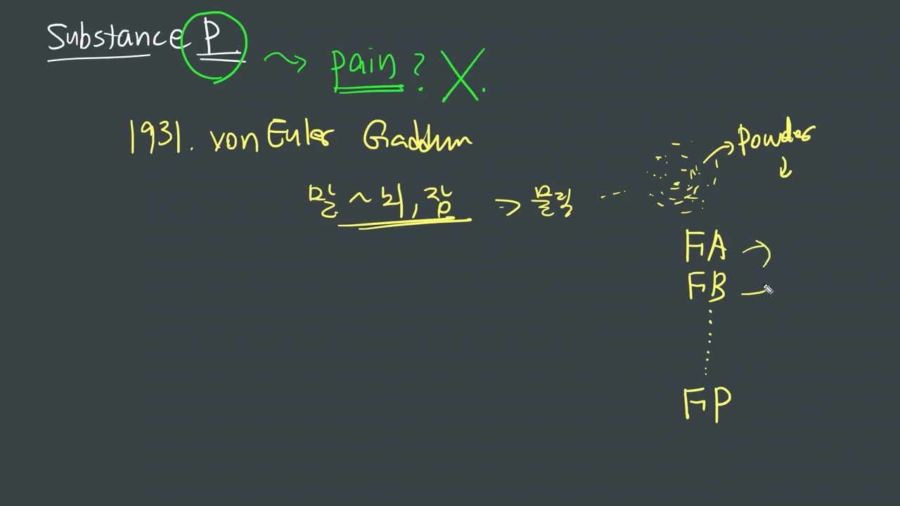 PAIN-13 substance P에서 P가 어떤 의미일까