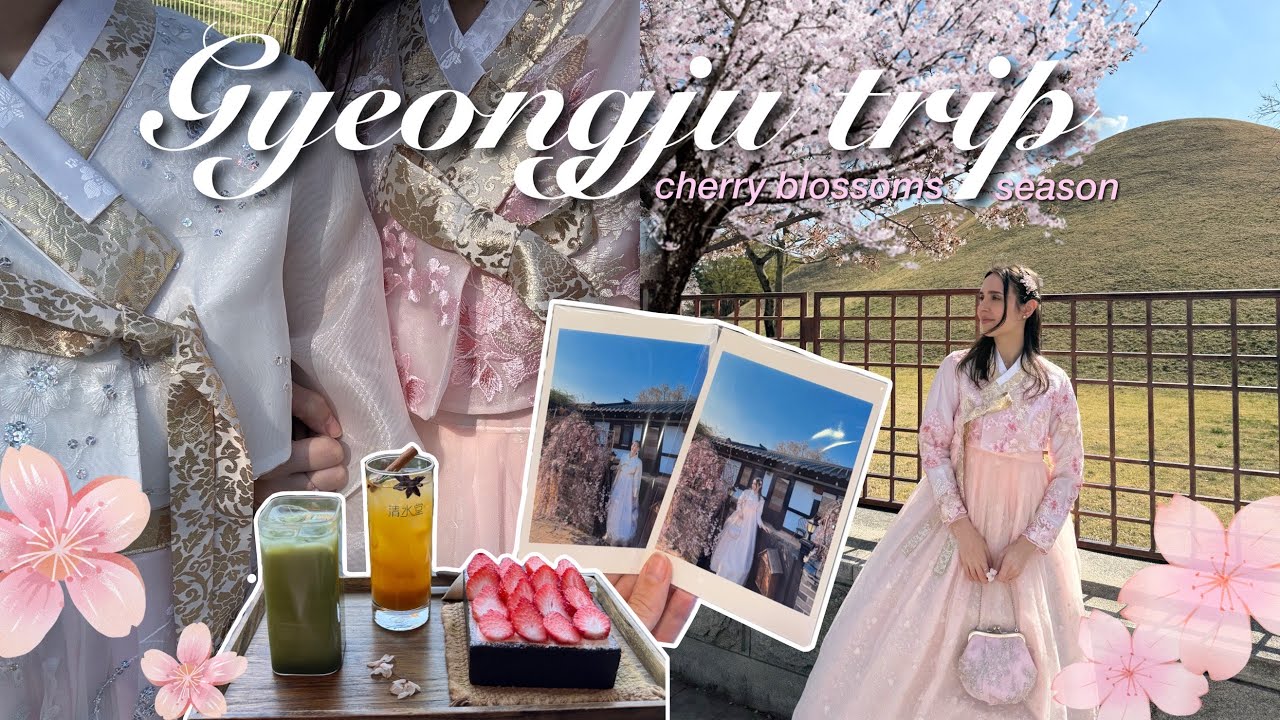 Trip to Gyeongju, Korea 🌸🇰🇷 cherry blossoms hot spots, renting a hanbok, favorite cafés