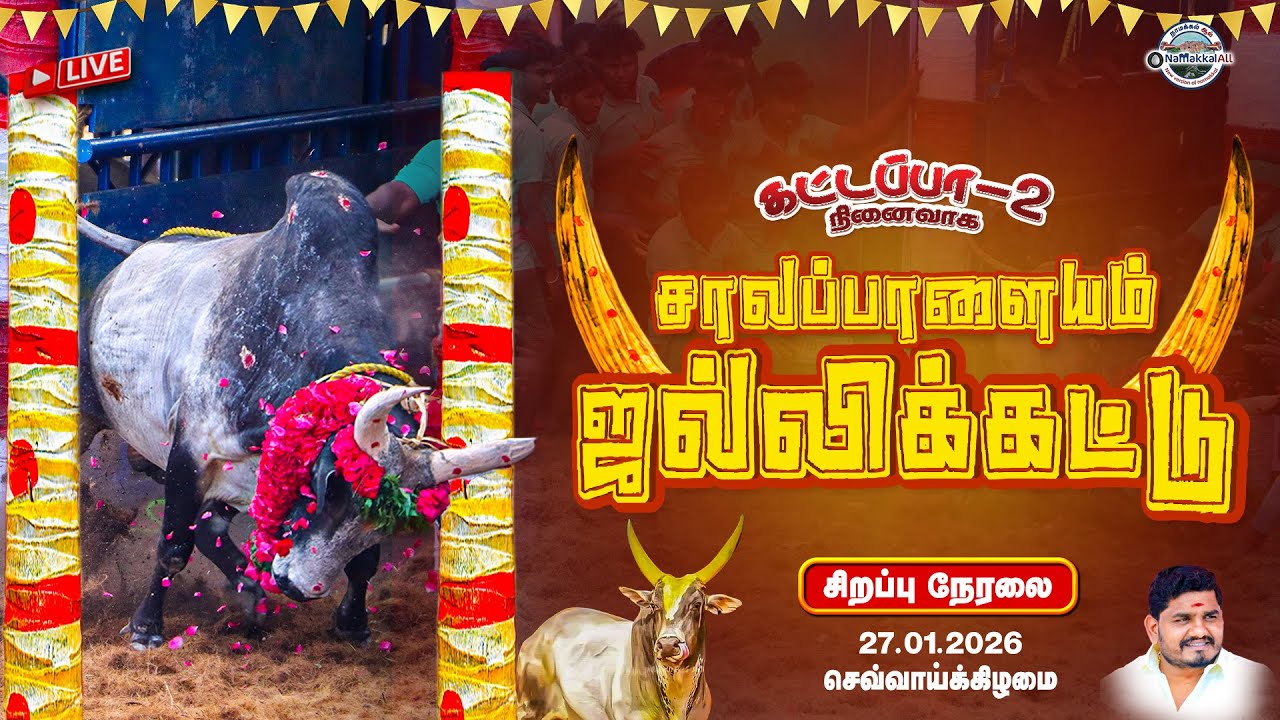 🔴LIVE: சாலப்பாளையம் ஜல்லிக்கட்டு 2026 | அனல் பறக்கும் காளைகள் – அதிரடி வீரர்கள் #jallikattu