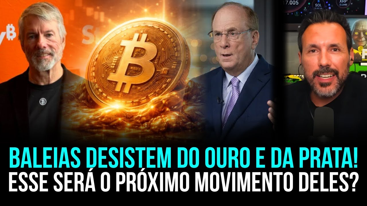ESSE SER&Aacute; O PR&Oacute;XIMO MOVIMENTO DO MERCADO CRIPTO...