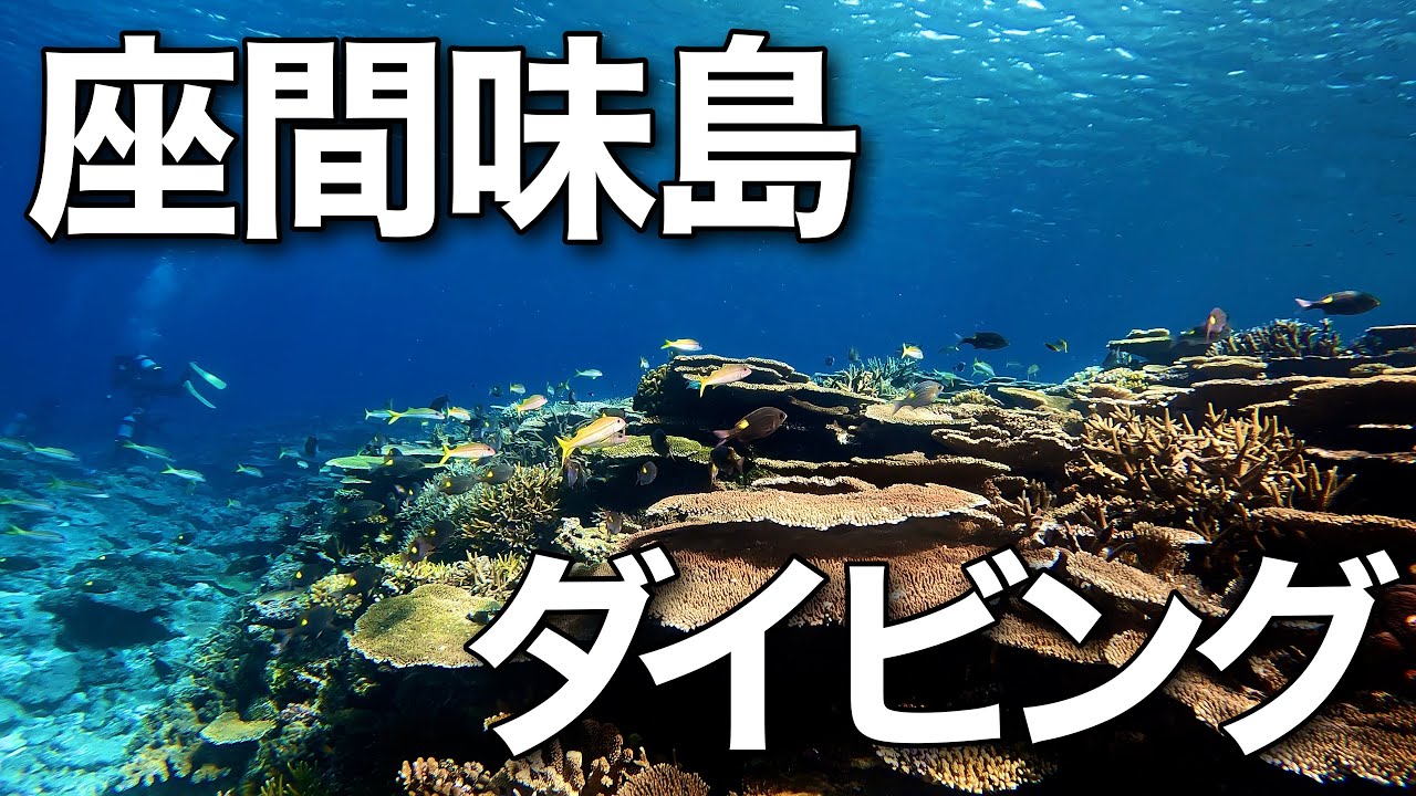 【沖縄】座間味島ダイビング【慶良間諸島】