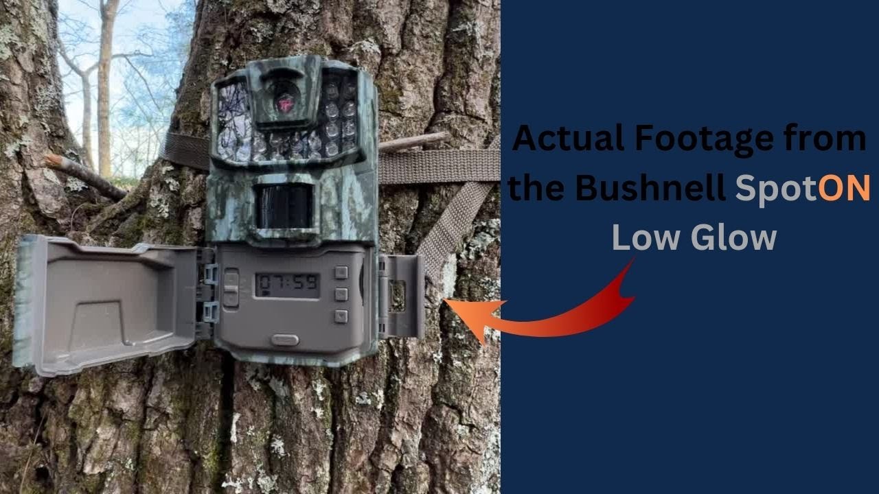 Actual footage from the Bushnell Spot On Low Glow from Walmart