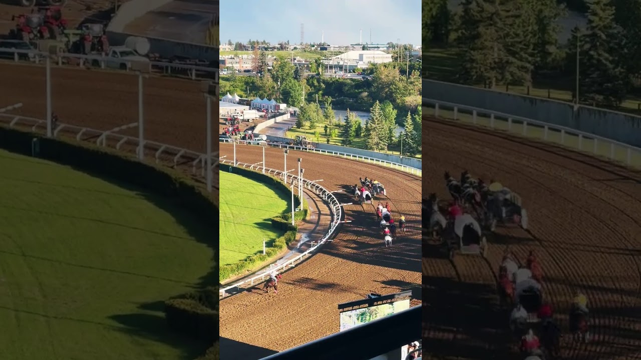 Chuckwagon Race #stampede #calgary #canada #fun
