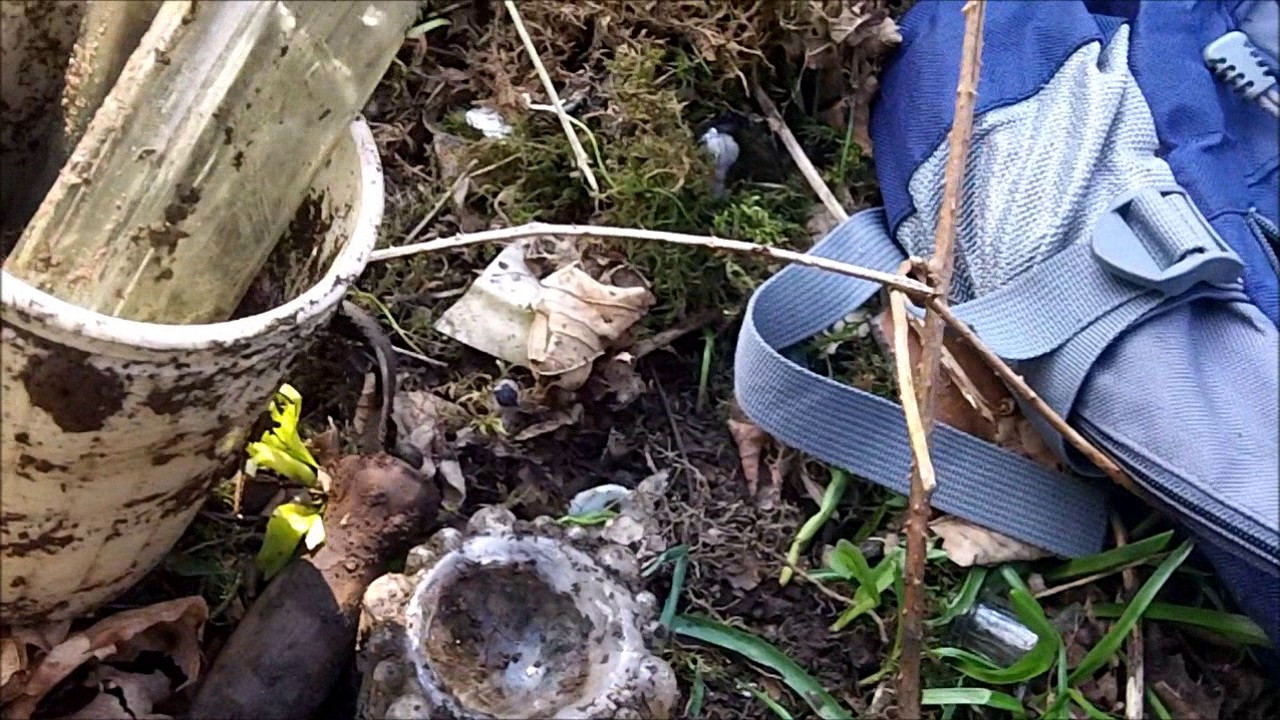 A SHORT DETECTING SESSION WITH THE MINELAB QUATTRO & A BOTTLE DIG