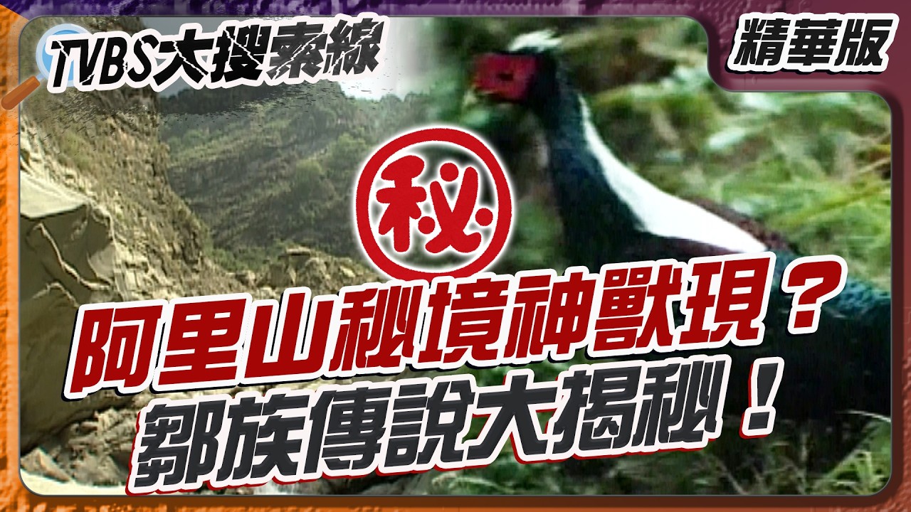 阿里山秘境神獸現？鄒族傳說大揭秘！【#大搜索線 精選】#阿里山 #探險 #鄒族 #靈魂 #信仰 #長生不老藥 #抗癌
