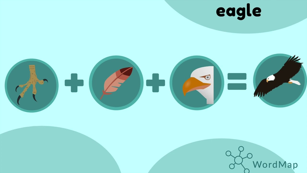 Animals body parts ESL guessing game