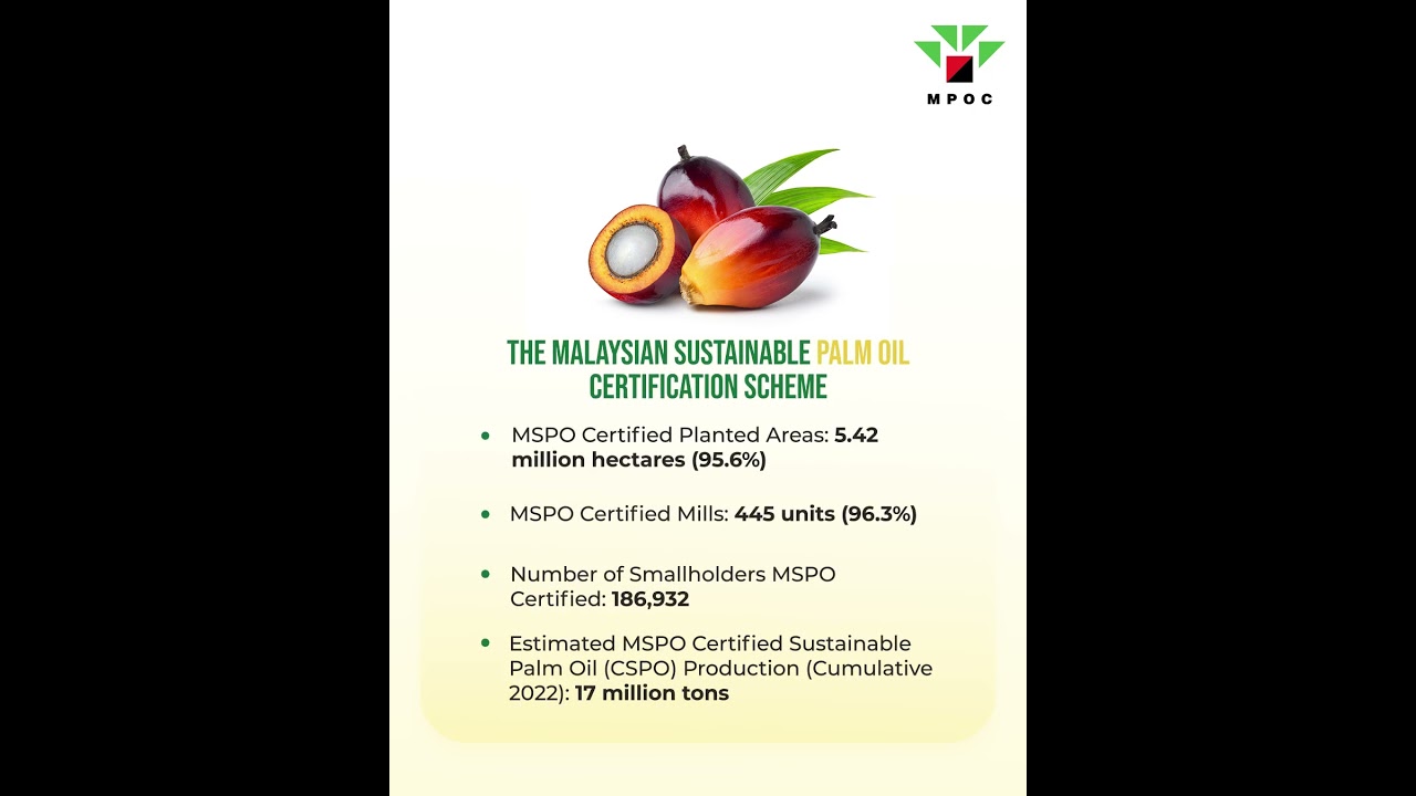 Malaysian Sustainable Palm Oil (MSPO) initiative leading the charge
