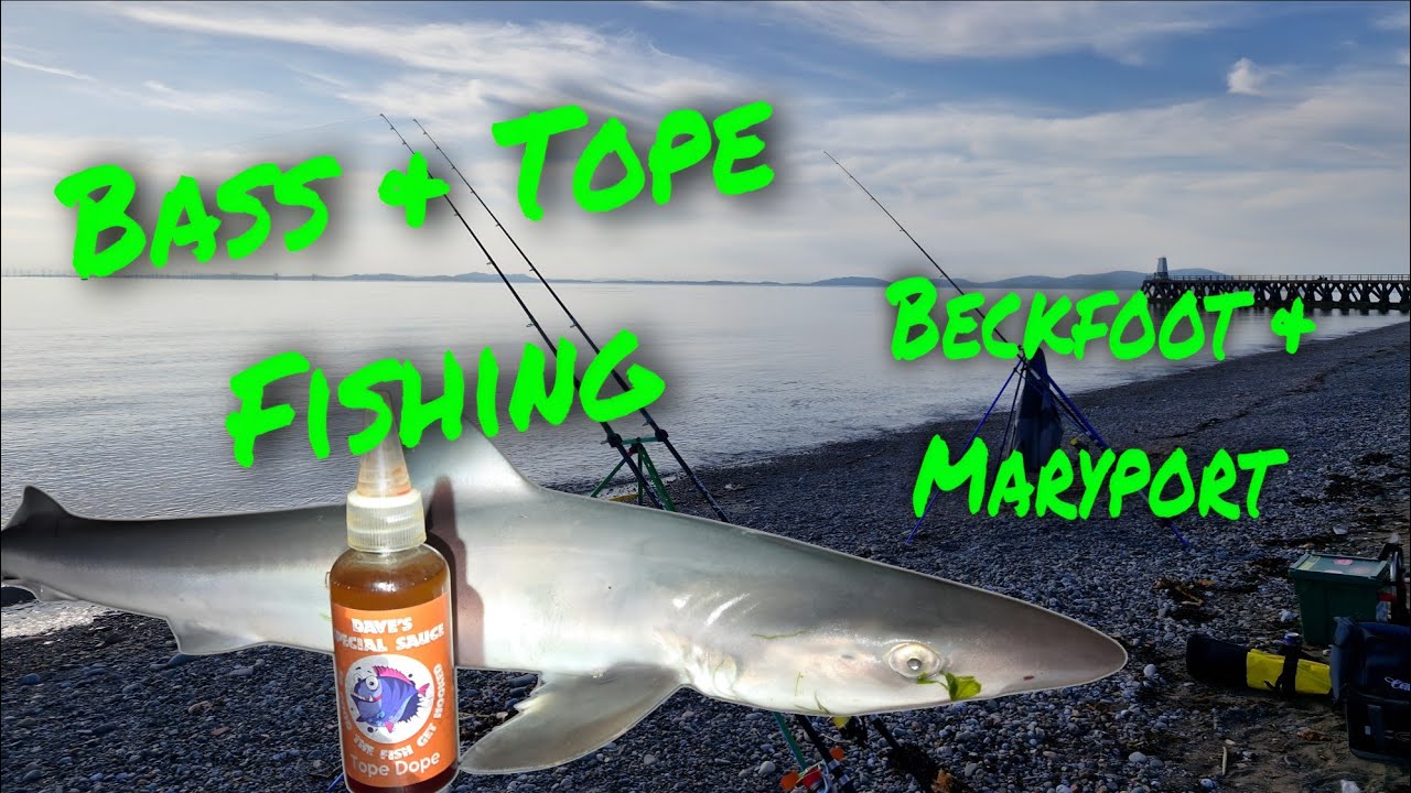 Bass & Tope Fishing At Beckfoot & Maryport #vanlife  Style