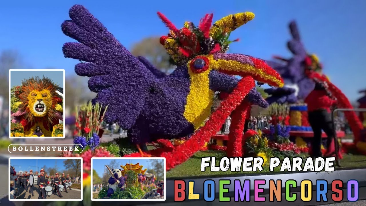 BLOEMENCORSO 2025 || The World’s Most Beautiful Spring Flower Parade in the Netherlands