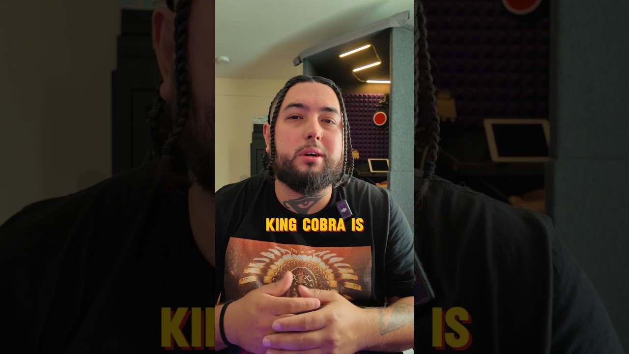 King Cobra 🐍 is finally here! Buy it now on Even 🔥#KaseekOrtiz #KingCobra #NewMusic