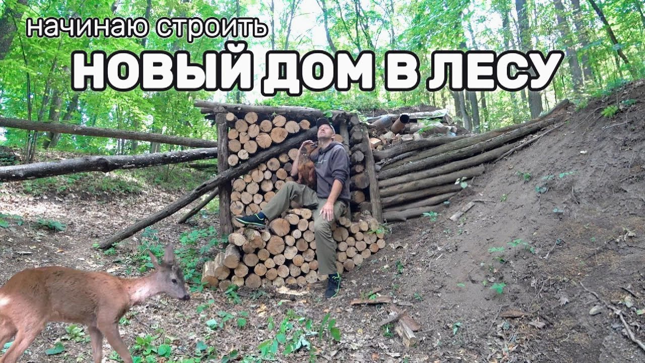 Карлос помогает строить глиночурку. Переделка землянки в лесной дом!