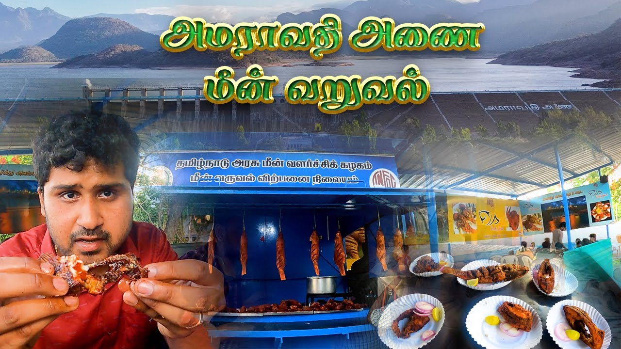 Amaravathi Dam Fish 🐟Fry - Sanjai Selvaraj | Udumalaipettai