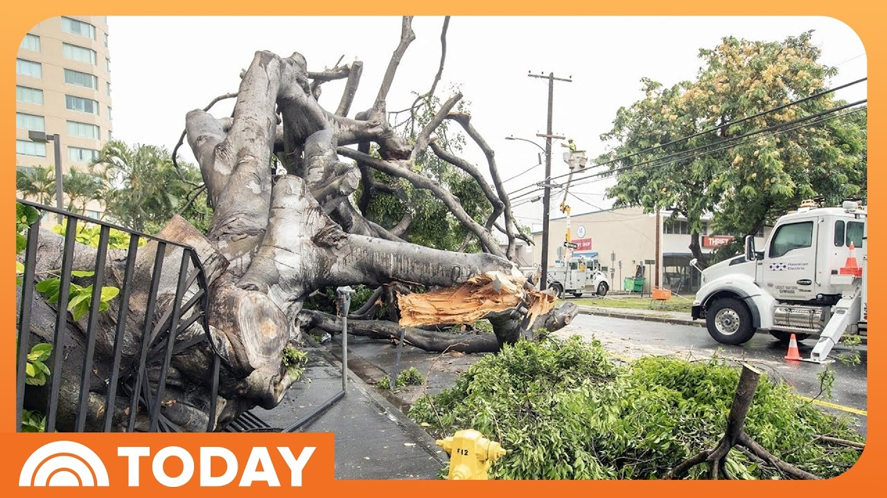 Hurricane Lala Pummels Hawaii, Causing Widespread Damage