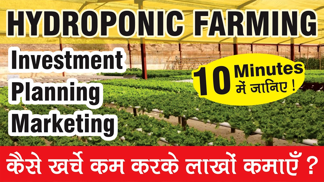 All about Hydroponic Farming in 10 minutes