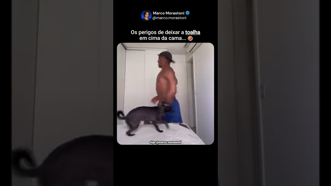 Casal brigando pela toalha na cama... #mindset #motiva&ccedil;&atilde;o #inspira&ccedil;&atilde;o #felicidade #viral #casal