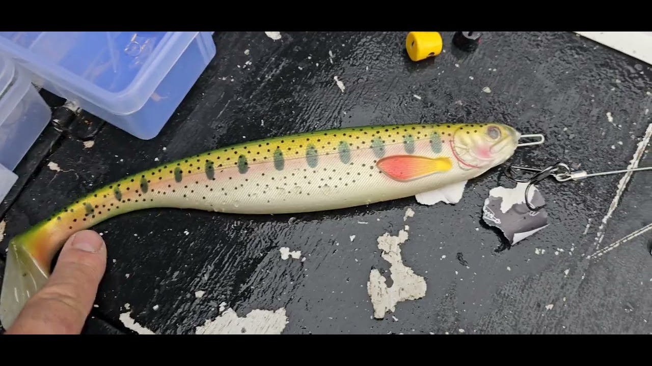 sprawdzenie Westin W3 40-130g  8