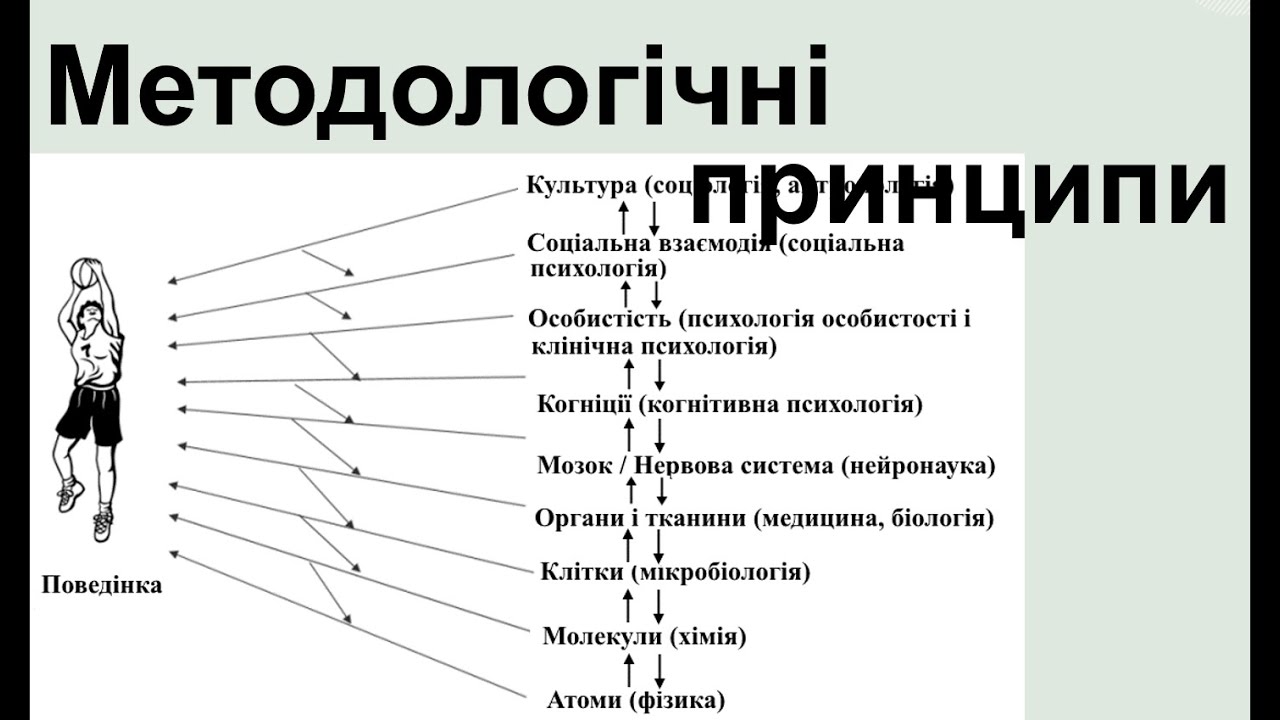 1.4. Методологічні принципи дослідження особистості