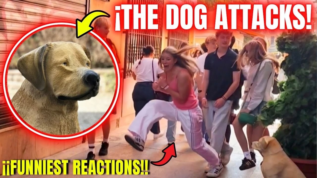 SCARING Prank That Had Them SCREAMED & LAUGHY | #bushman_prank
