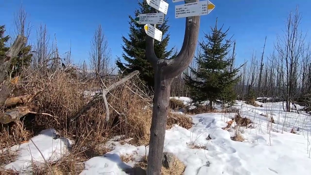 NP Muránska planina,  Veporské vrchy, Fabova hoľa 8.3. 2025