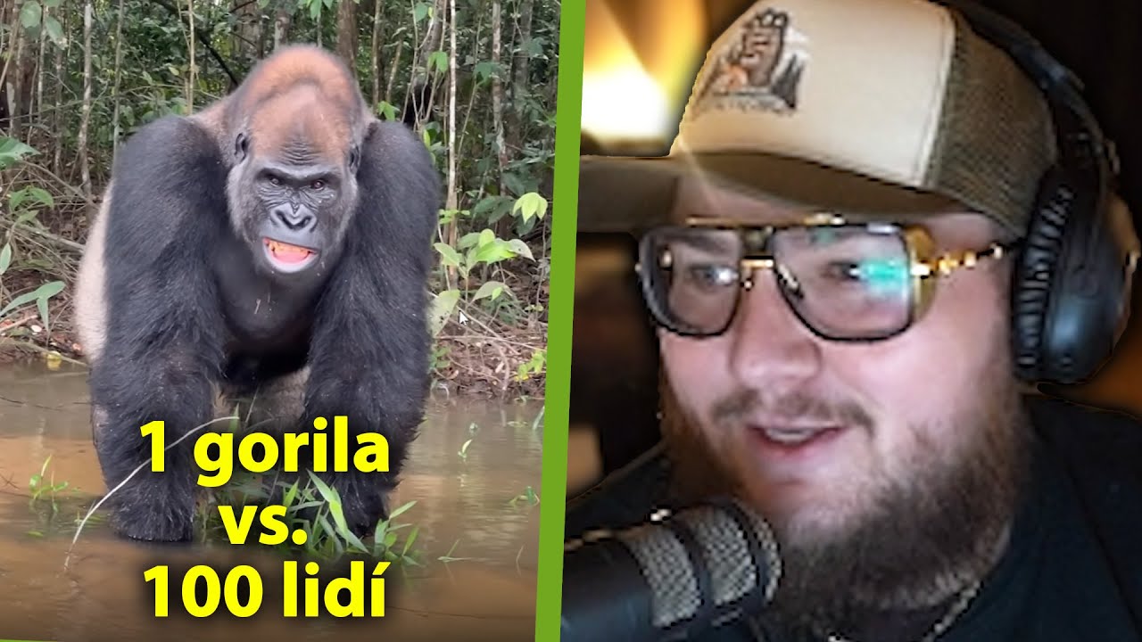 1 GORILA vs. 100 LIDÍ! Kdo by vyhrál? Chat GPT odpovídá