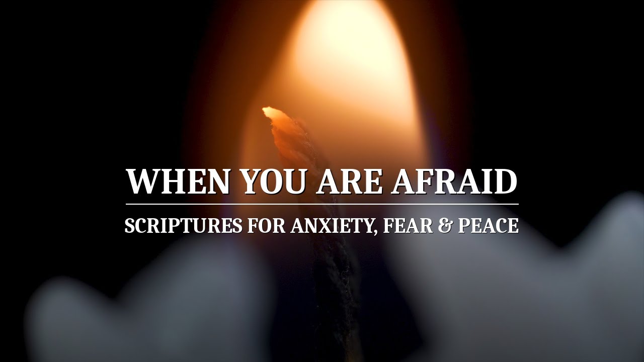 WHEN YOU ARE AFRAID | SCRIPTURES ON ANXIETY, FEAR & THE PEACE OF GOD | THE INNER ROOM