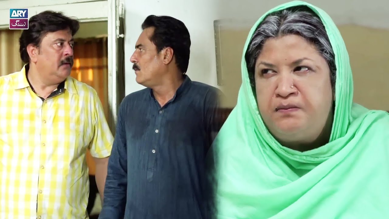 Biwiyon ke chamchon! 🤣🤣 | Hina Dilpazeer Most Funny Scene