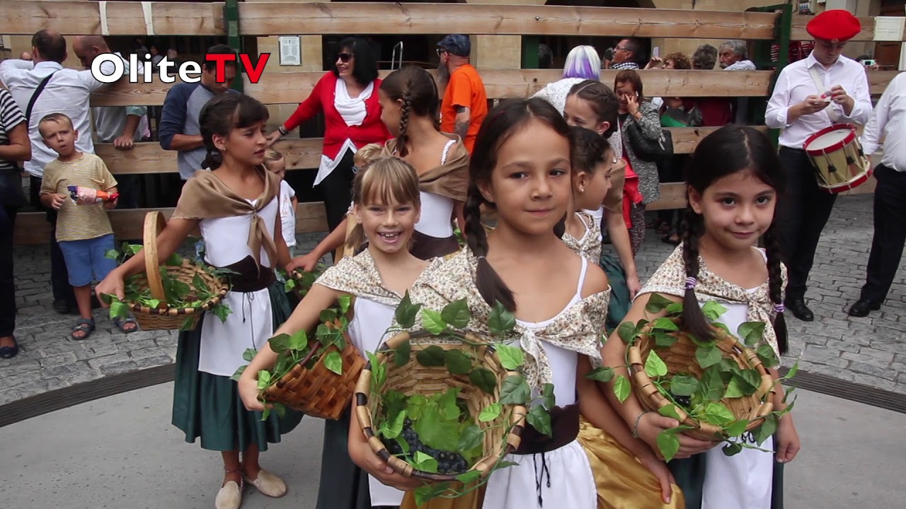 FIESTA DE LA VENDIMIA NAVARRA