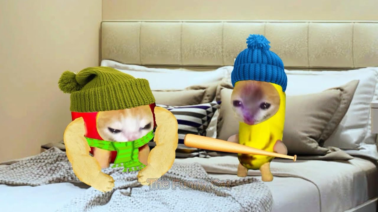 Banana Cat&rsquo;s Fun Fireworks Celebration &ndash; A Showdown with Unstable Fireworks !!!