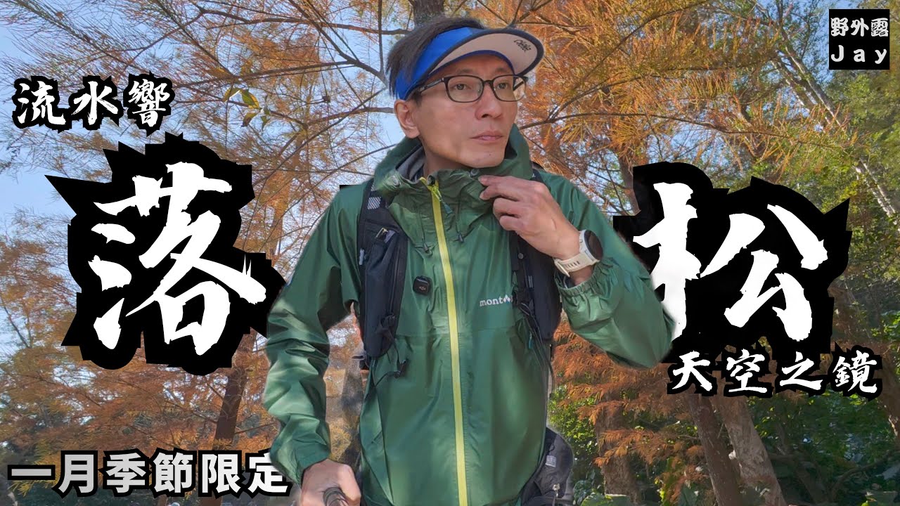 流水響落羽松 2026🍁｜呢個畫面一出現😍我真係以為自己去錯地方 😳🍁
