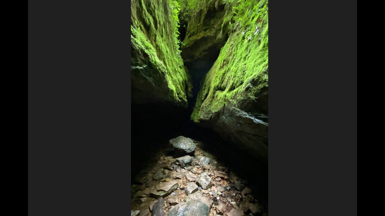 Rock Bridge State Park and the Devil's Icebox