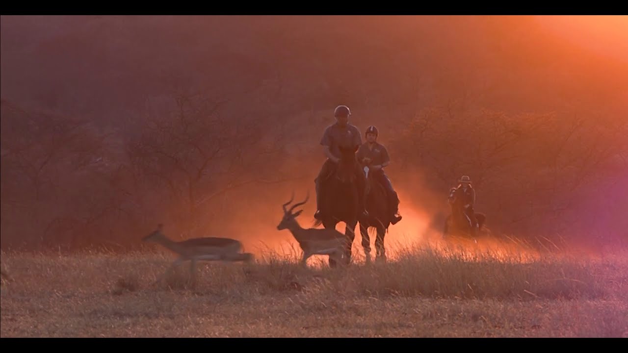 SUNSET CANTER - Horseback safari in South Africa.