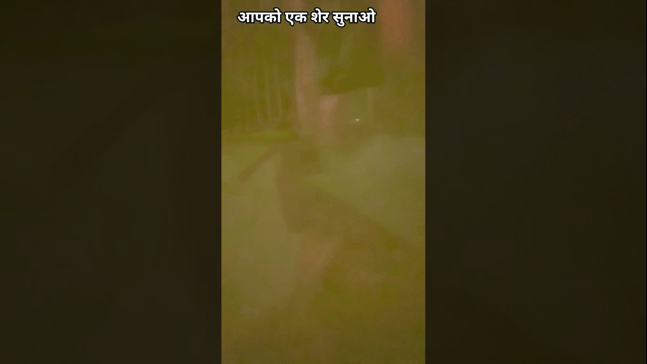 #alzaitun