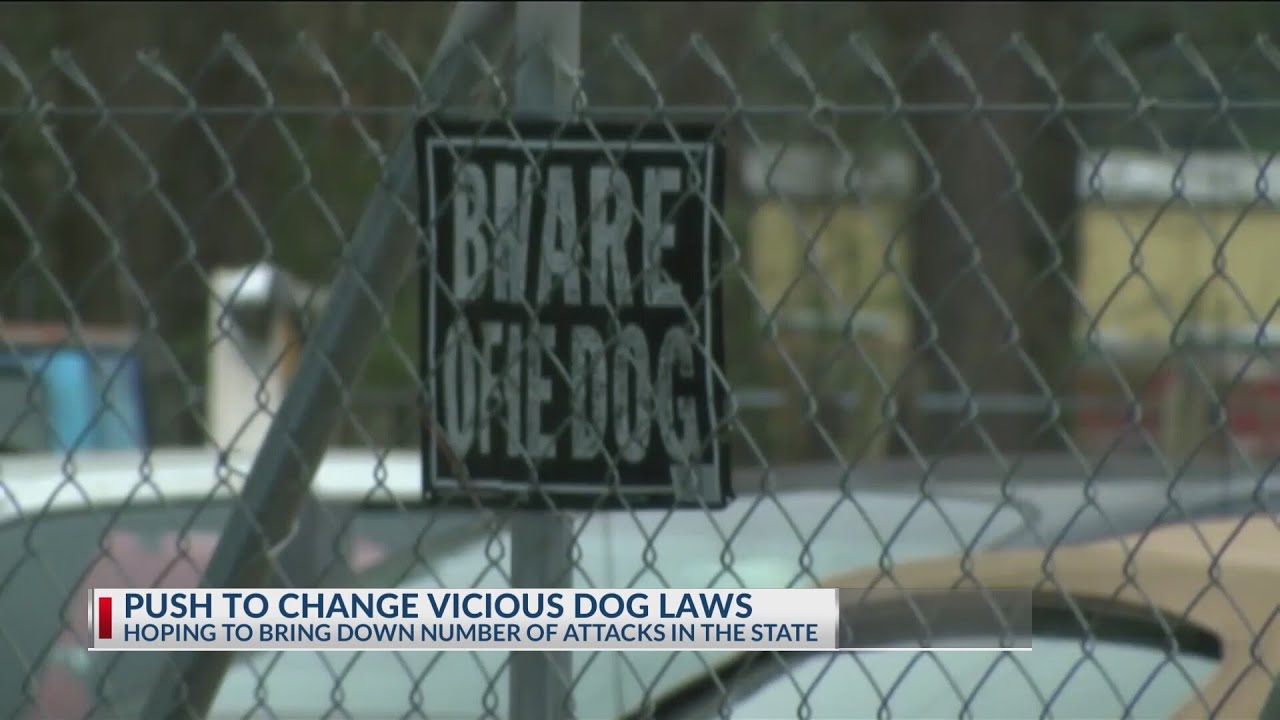Lawmakers weigh changes to Ohio vicious dog laws