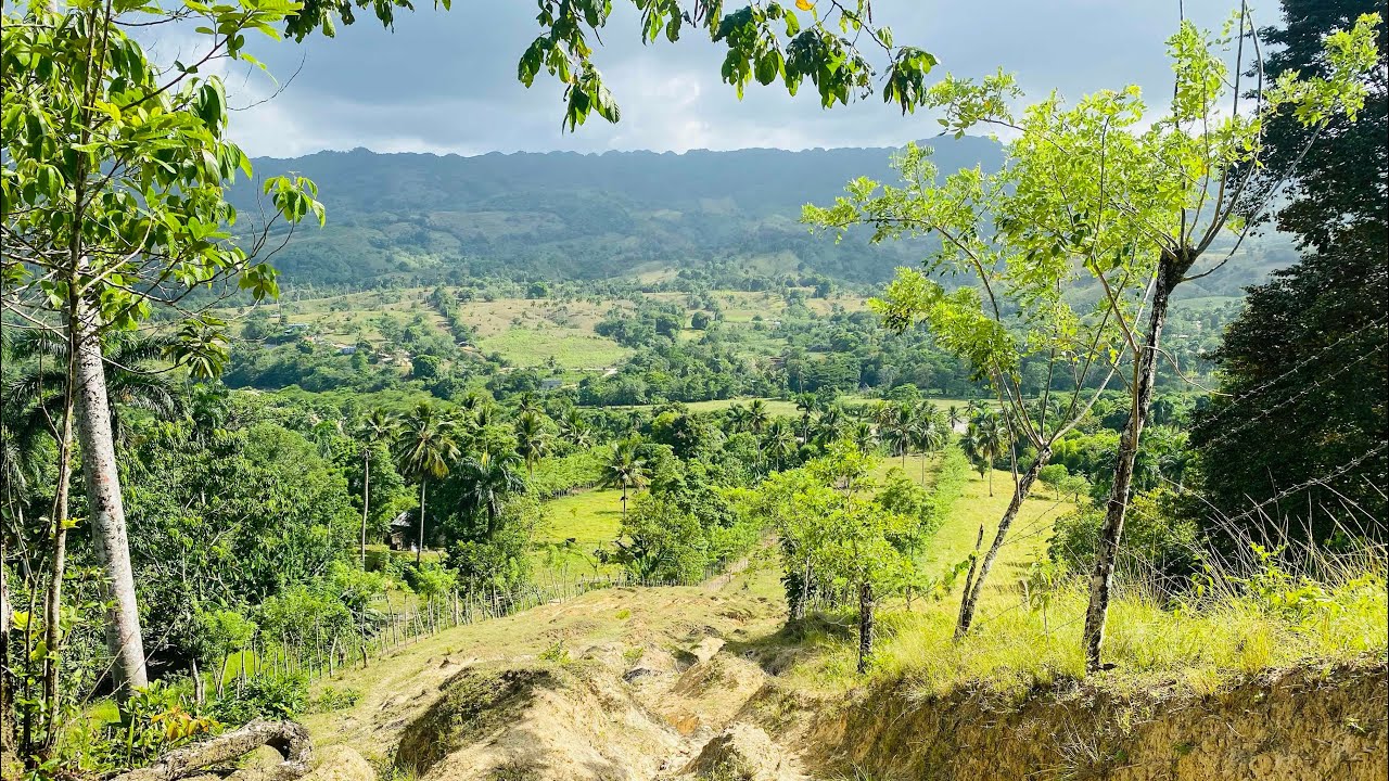 LA FINCA MÁS BARATA DEL CAMPO DE YASICA,PUERTO PLATA,REPÚBLICA DOMINICANA