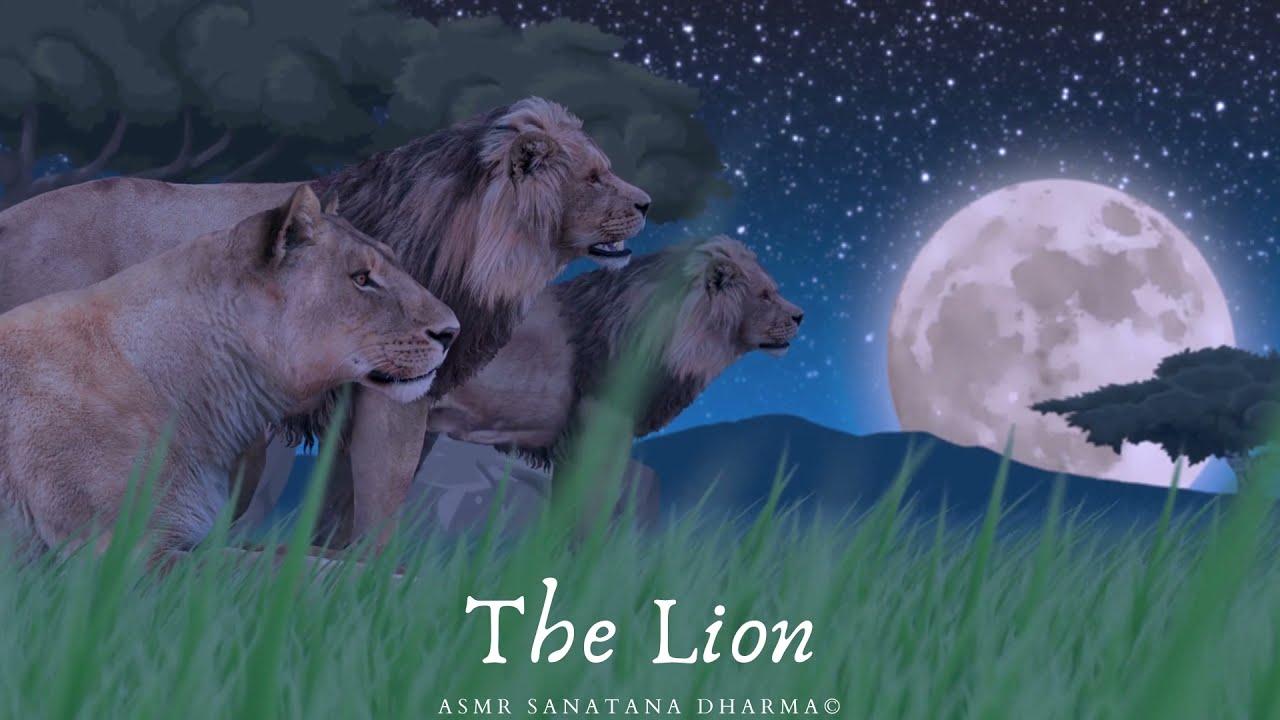 #ASMR THE LION TOTEM SPIRIT SHAMAN ANIMAL: HOW TO WORK WITH THEIR FREQUENCIES/TEACHINGS