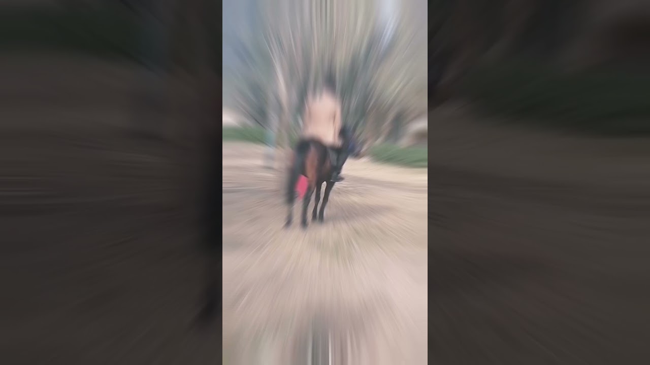 ابراهيم الصميدعي