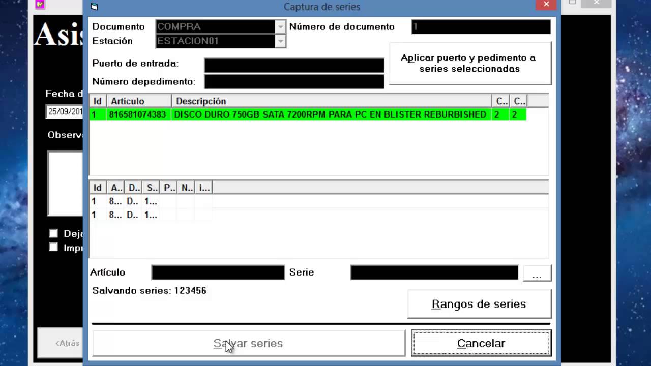 My business pos 2012 Manejo de series