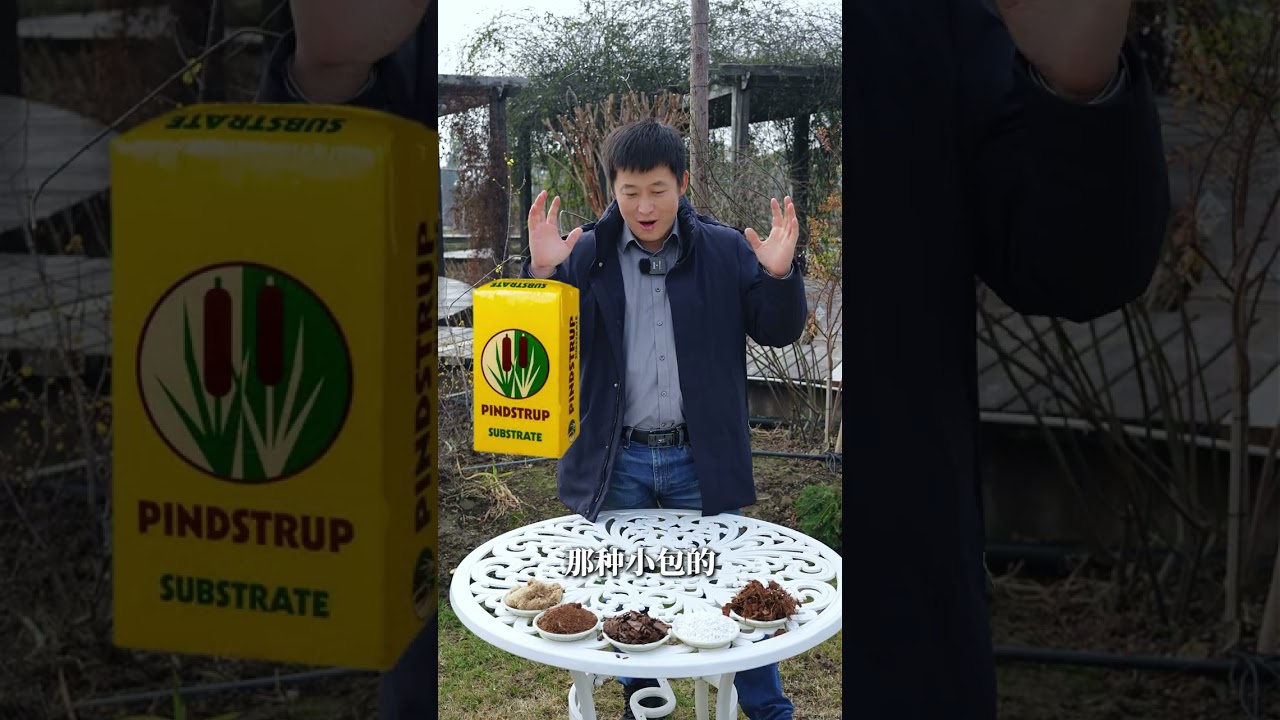 【天狼说月季】月季土的进化史，从野路子到科学配方