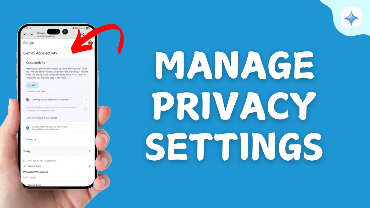 How to Manage Gemini Privacy Settings