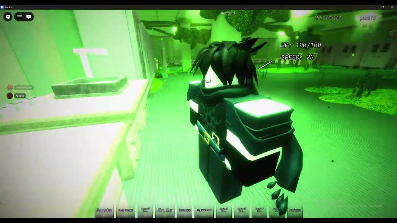 playing delusional office whit a noob