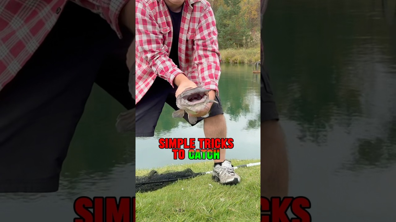 SIMPLE Tricks For How To Catch More Catfish! #shorts #fishing #catfish