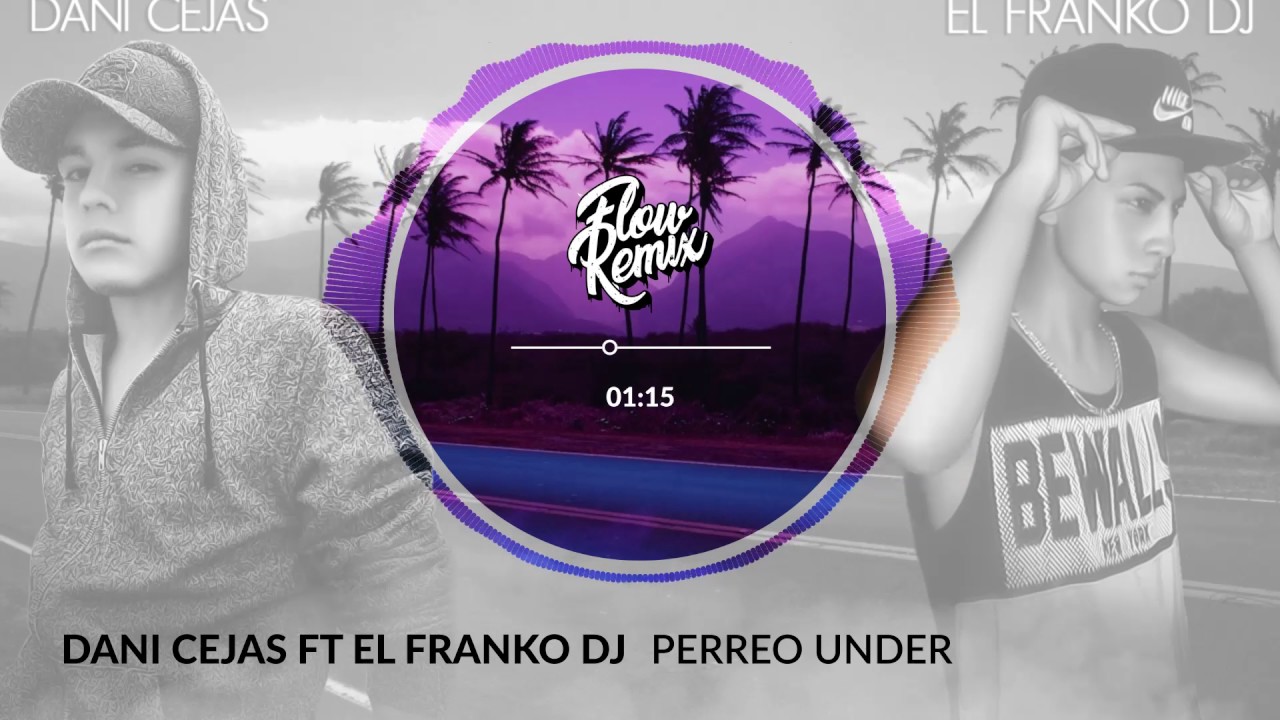 Dani Cejas ft El Franko DJ - Perreo Under (Flowremix 2017)