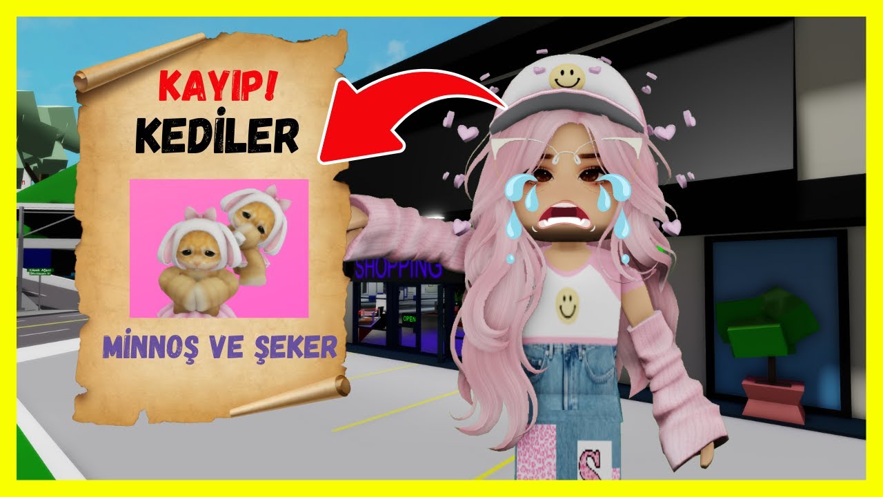 💥KEDİLERİM KAYBOLDU😁AYŞEM ECE ARI💥ROBLOX Brookhaven🏡RP